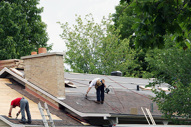 Steel Roofing in Trempealeau, WI